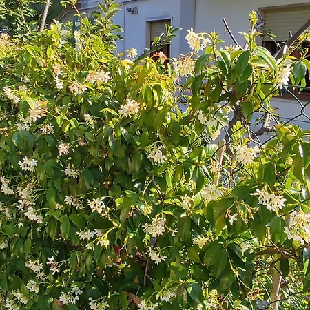 Casa Aprico - Abitare Il Relax In Citta Проживание в семье Потенца